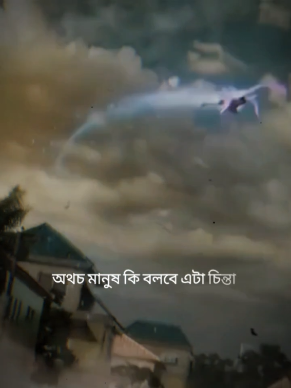 @Anamul Haque Ariyan