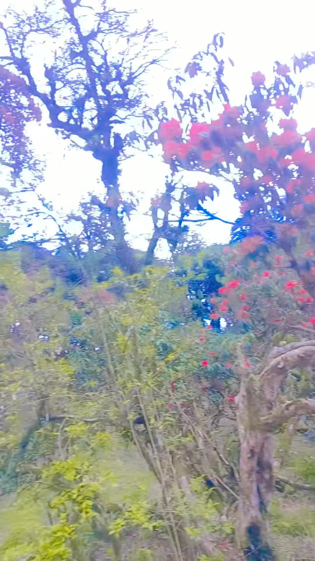 @NaNu_GuPtA_oP_