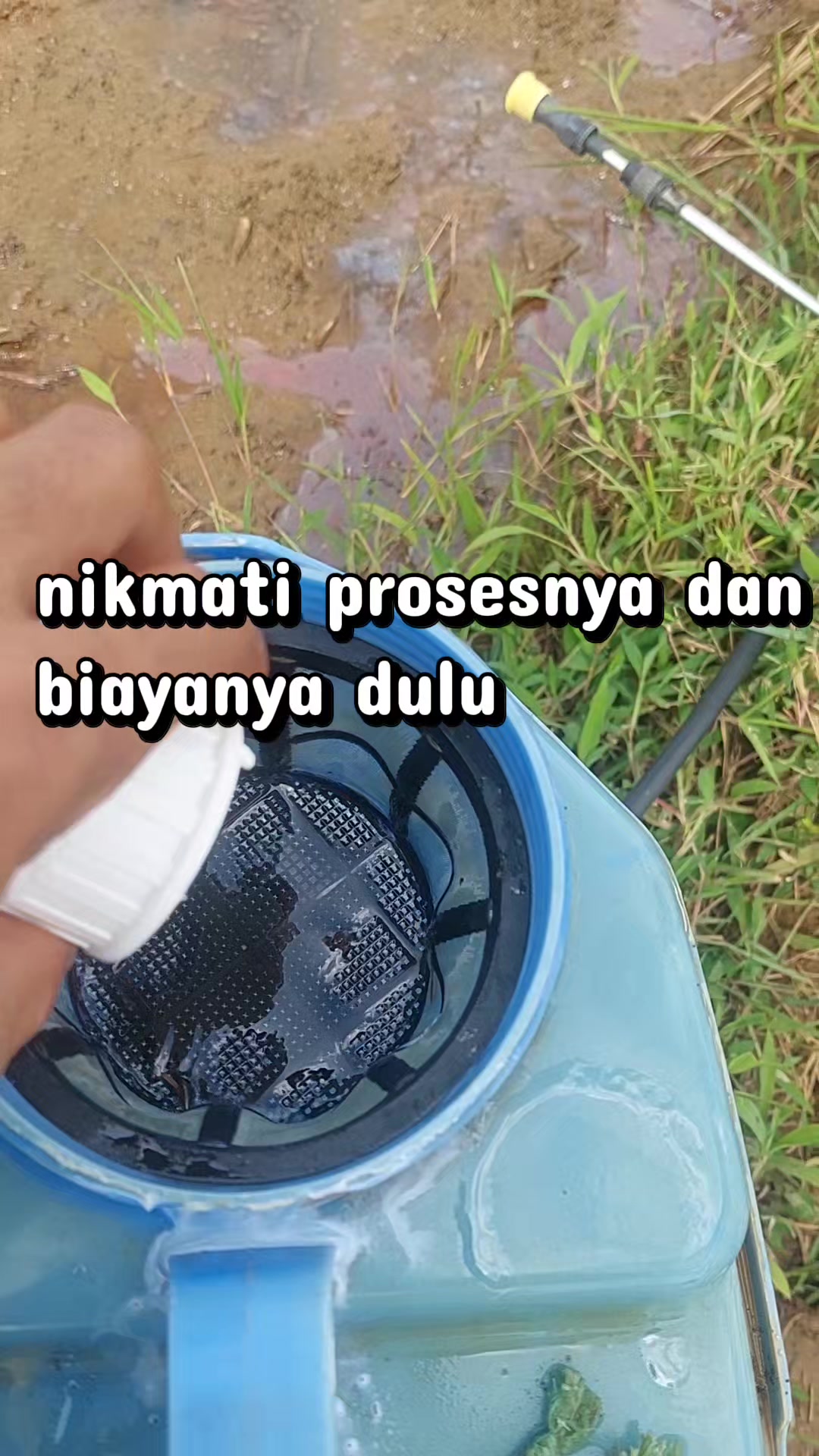 @1wan putra