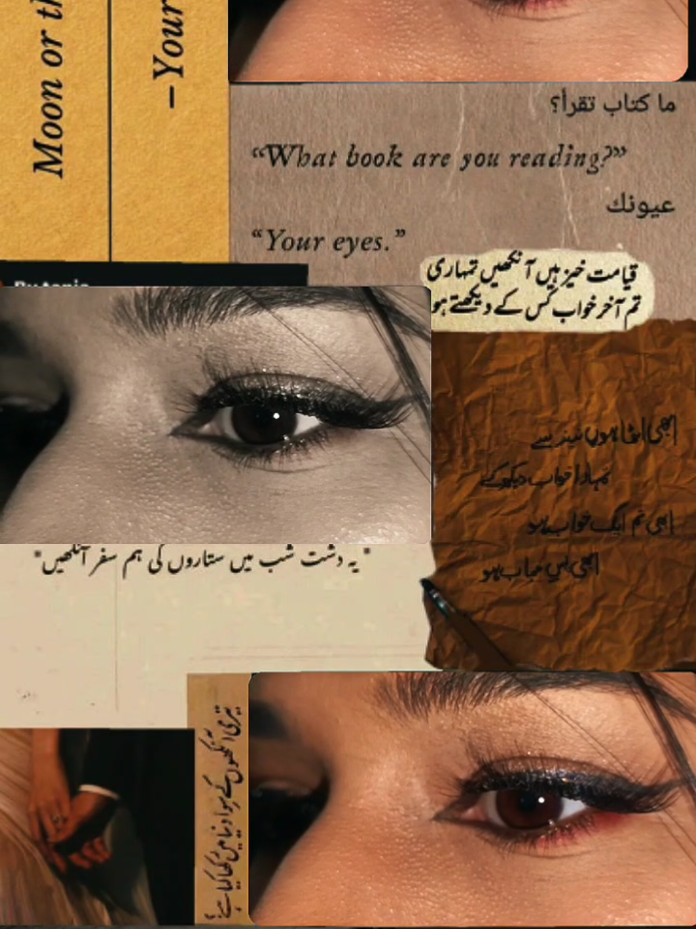 @Aleena Ramzan