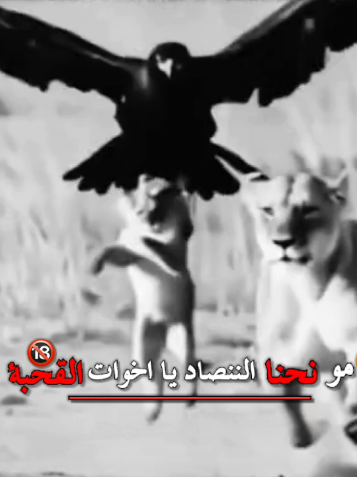 @صلوح المنبجي😌