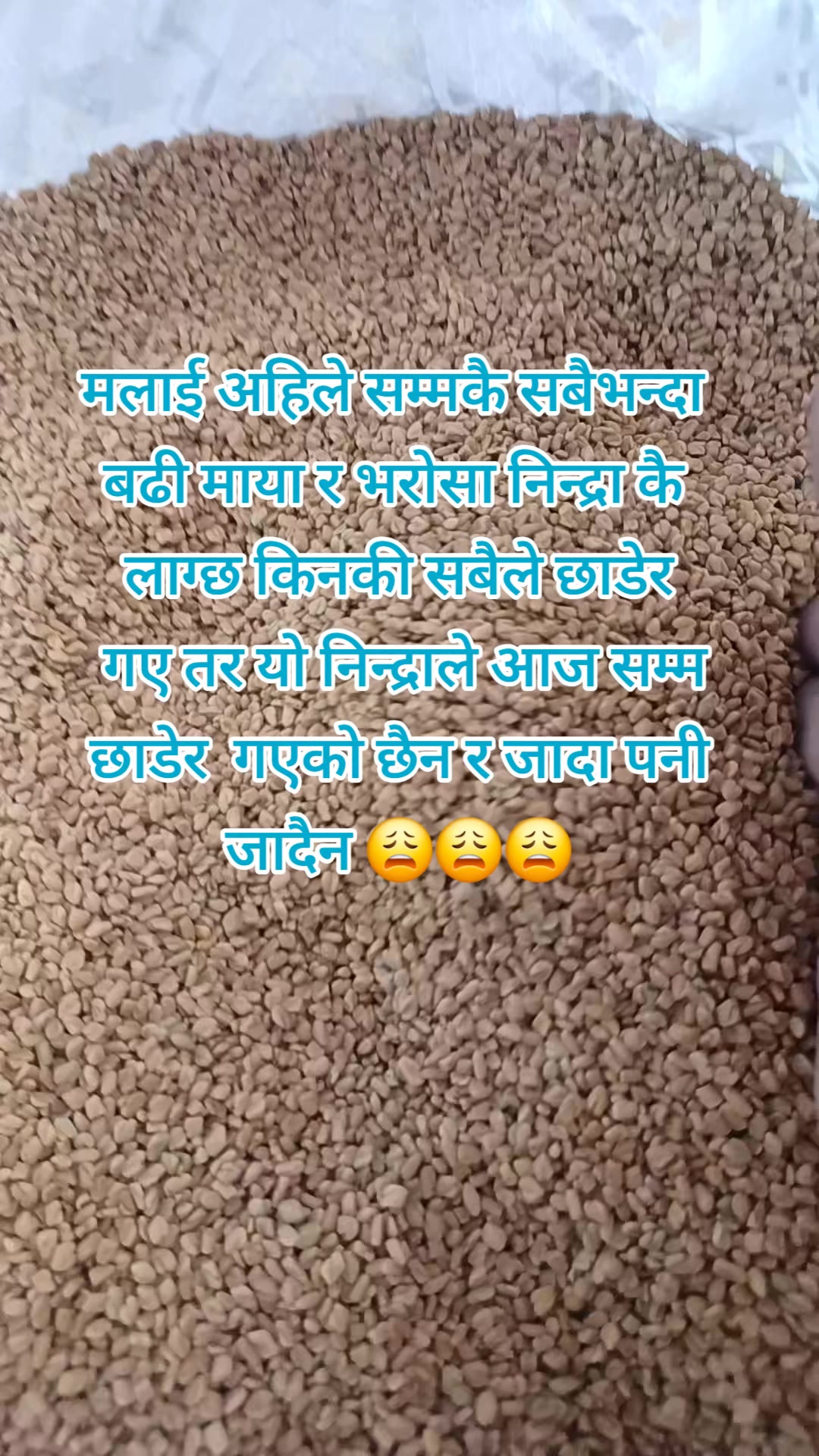 @manjushree❤️
