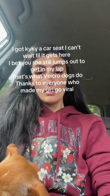 @donnasmith7175