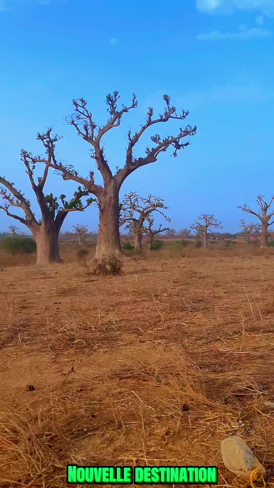 @Sénégal dakar habitat 🇸🇳