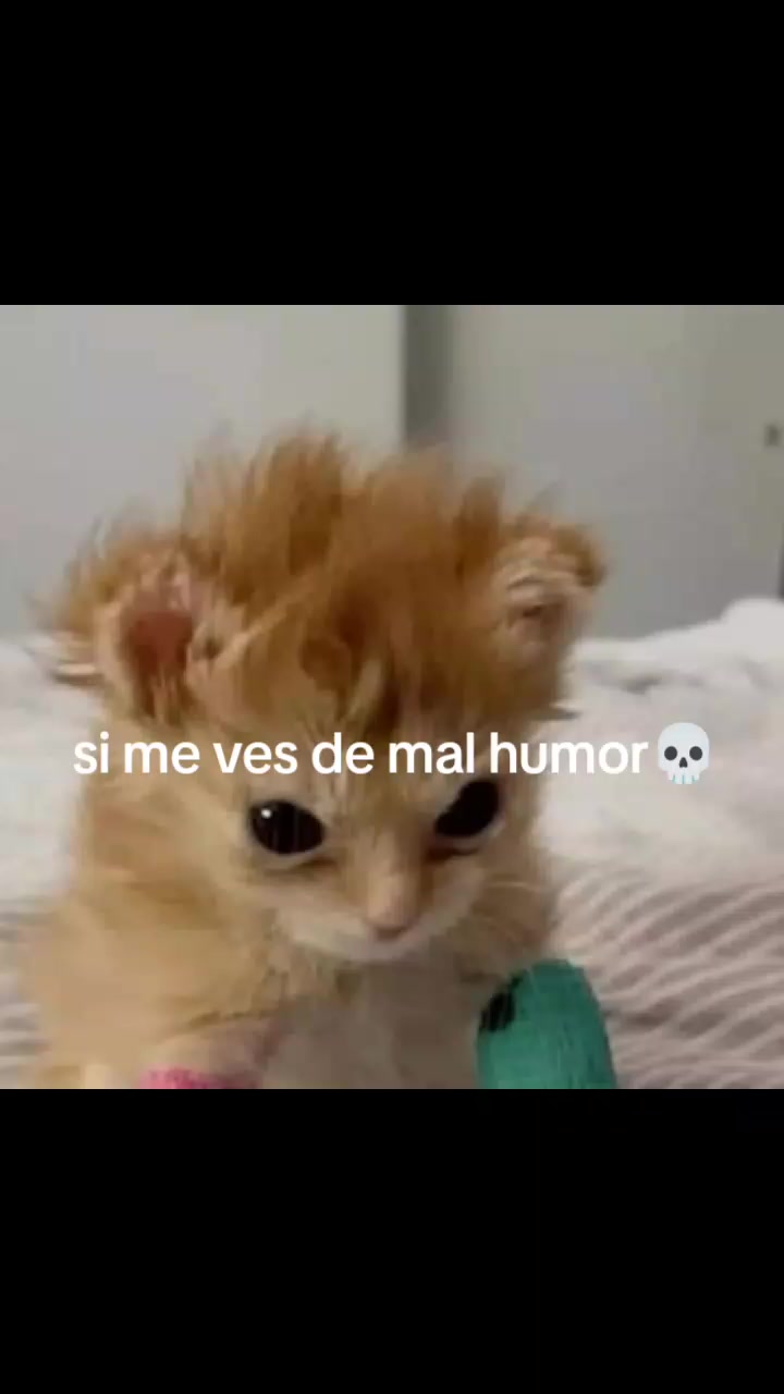 @larataxd