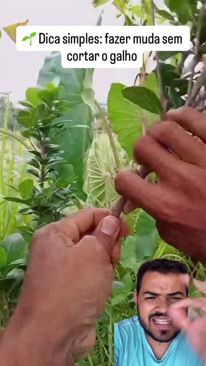 @Obrasilense