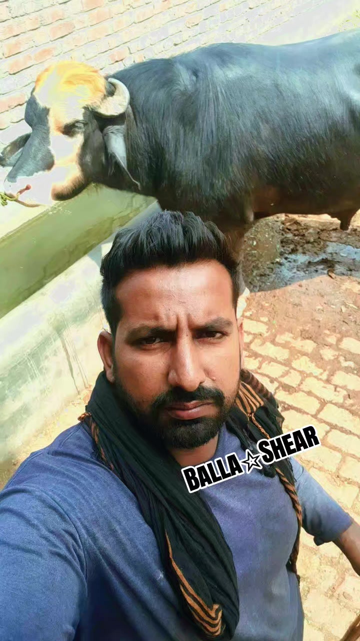 @Honey singh('gujjar')