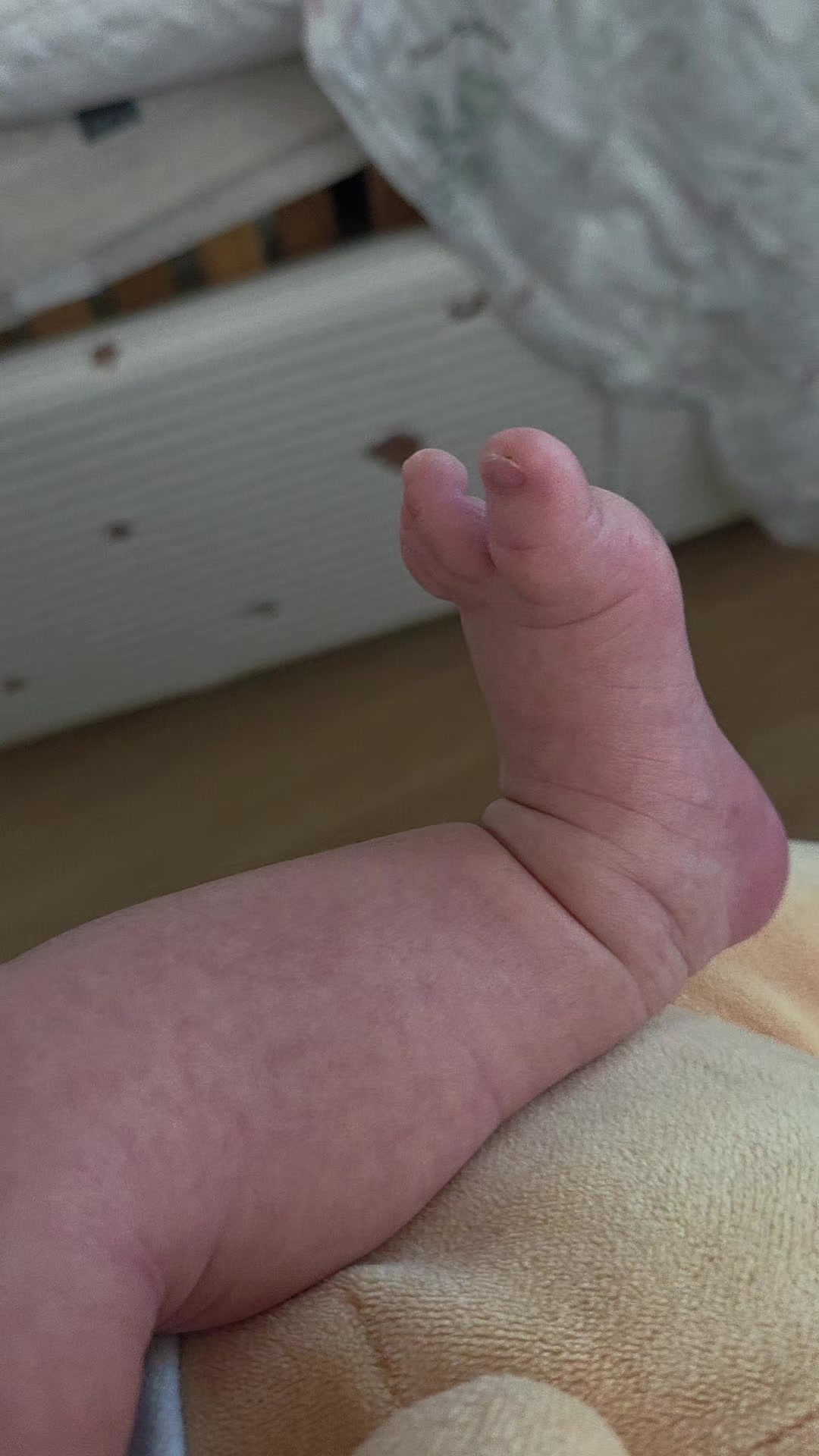 @Liy Maya 김 마야