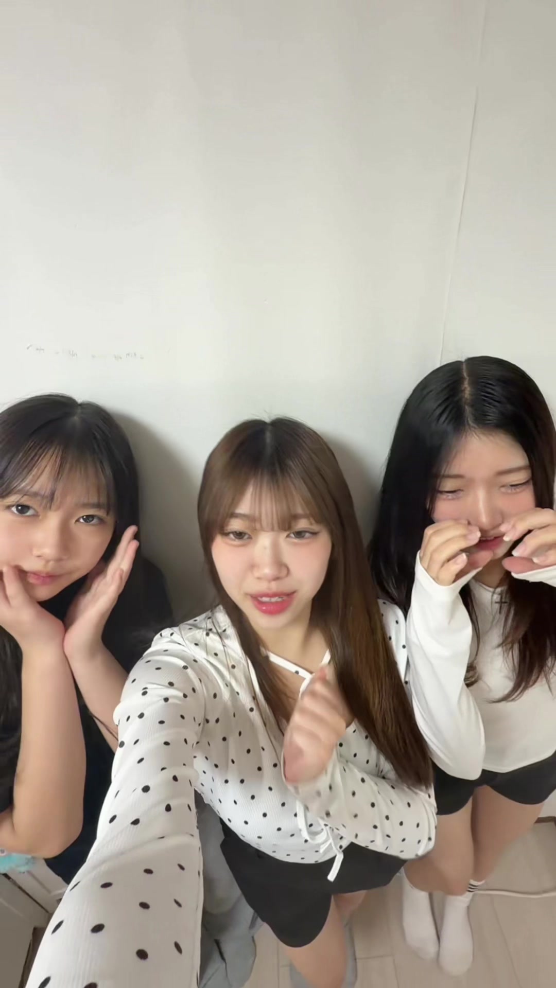 @にゃーにゃちゃんねる&おうちまのおうち(母管理)