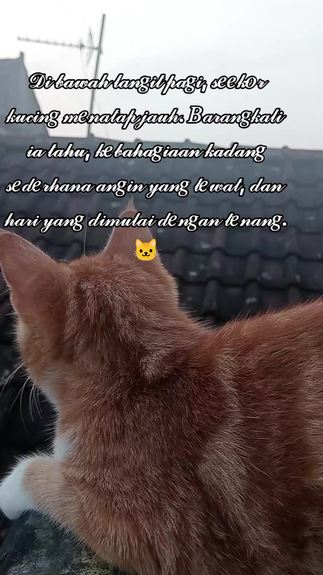 @Rizqi