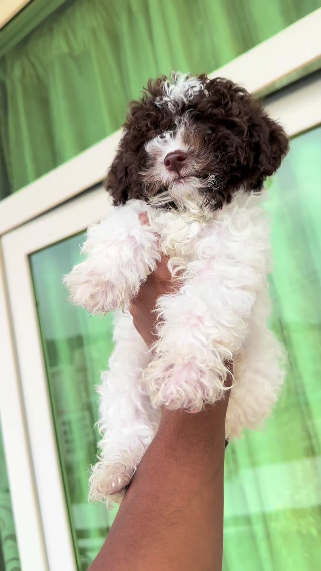 @KENNEL+๐พ