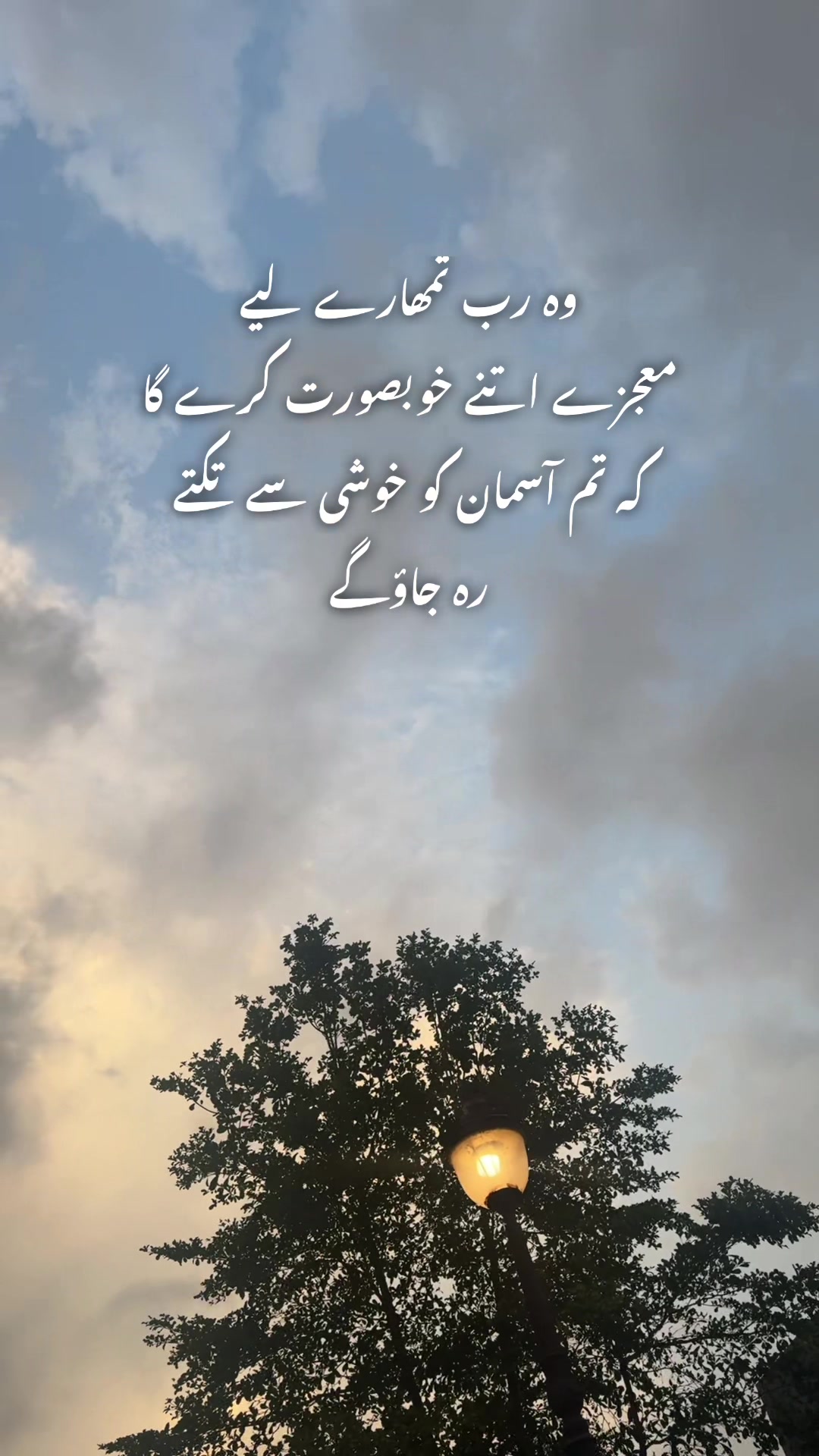 @Saira Nauman