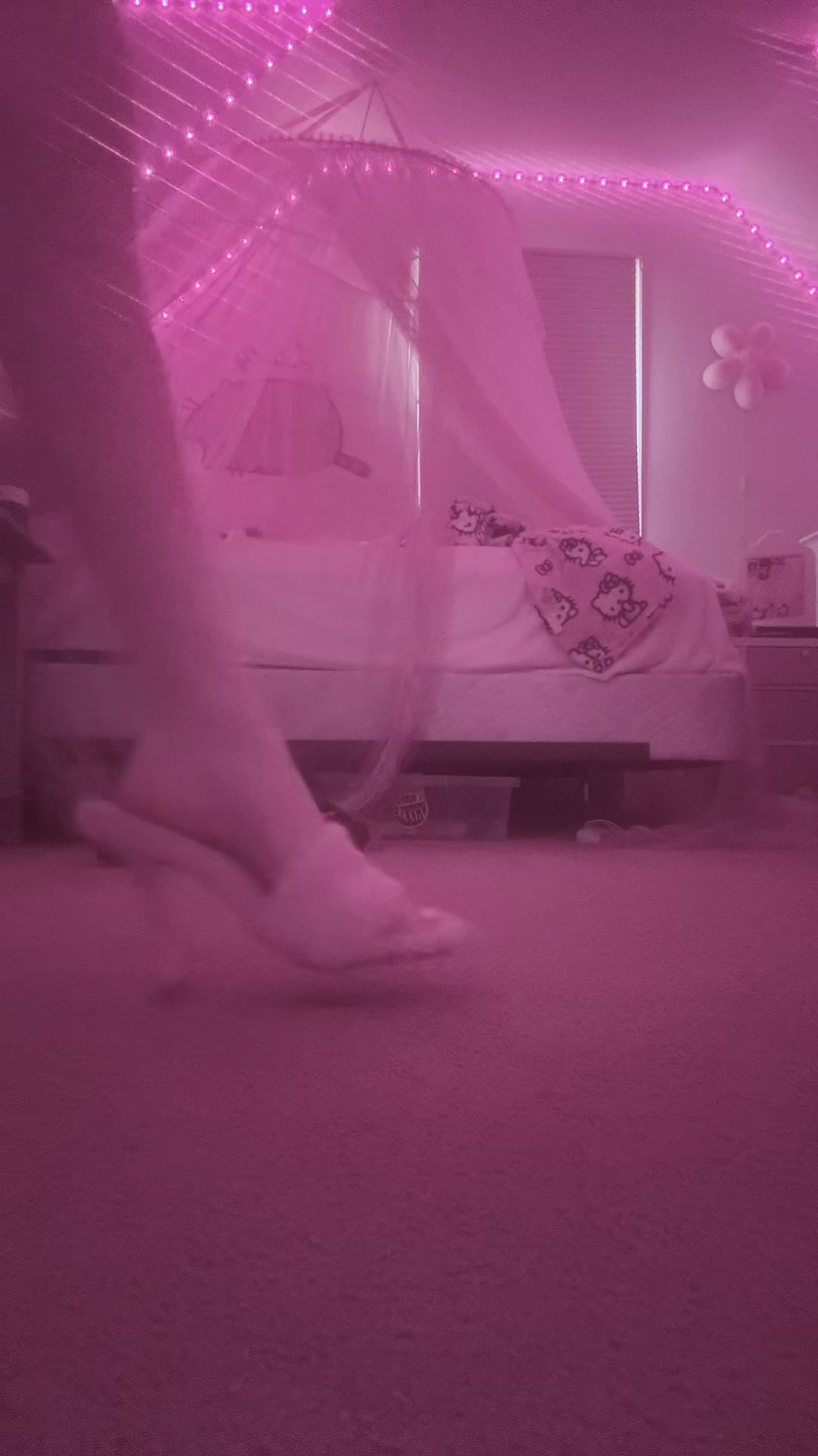@🐾🧁