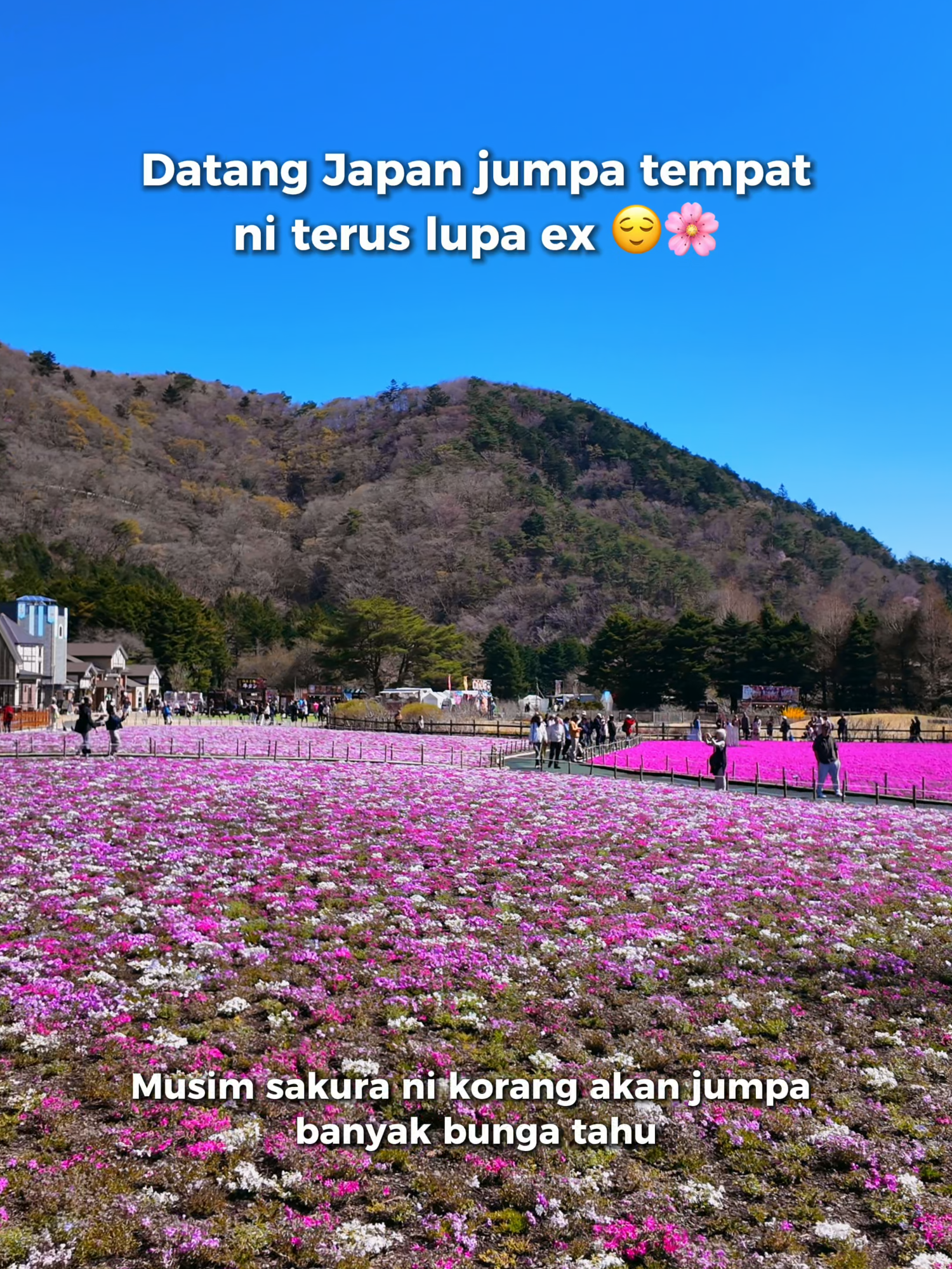 @Yamada | 1-Day Trip To Fuji