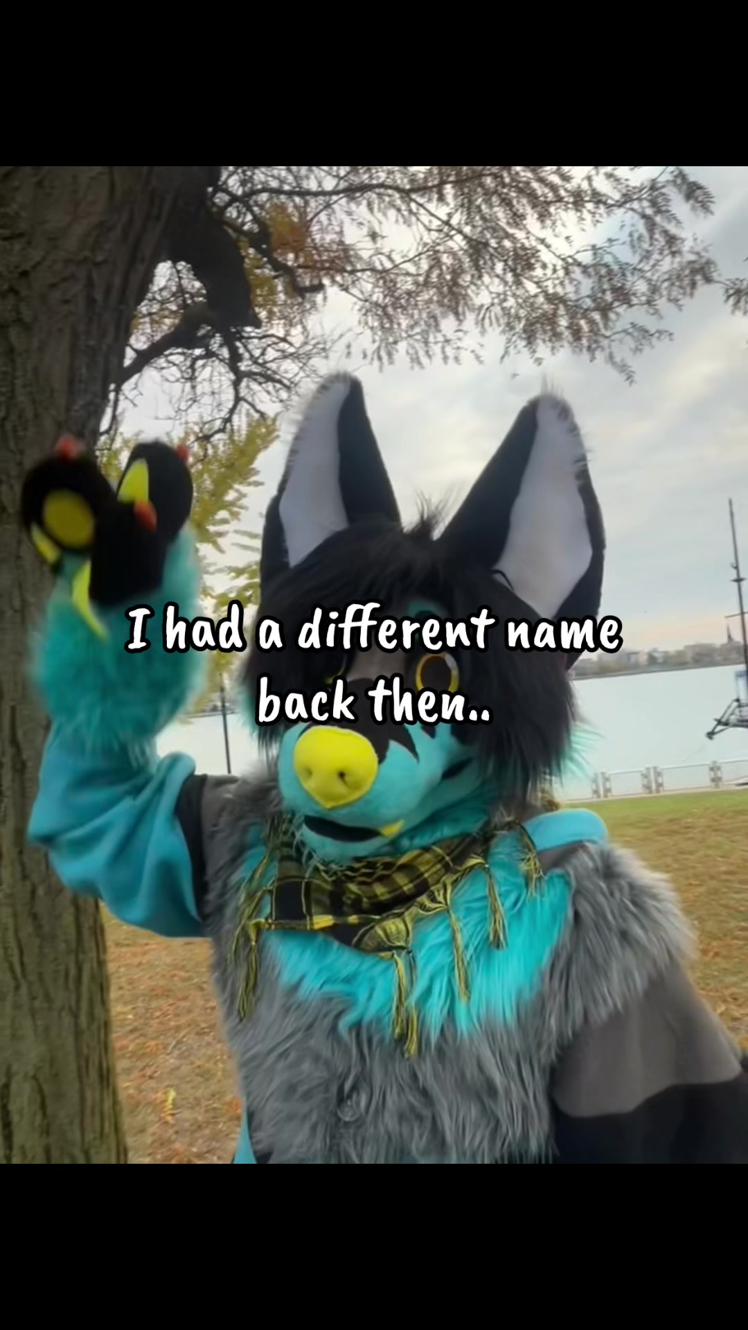 @Scar🌲Riku