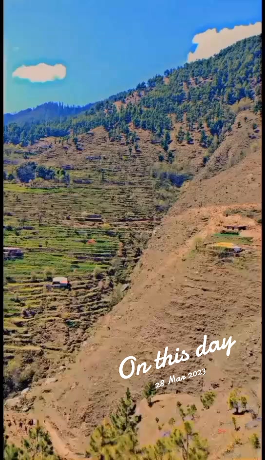 @sʰᵉʰᶻᵃᵈ ڈاکٹر