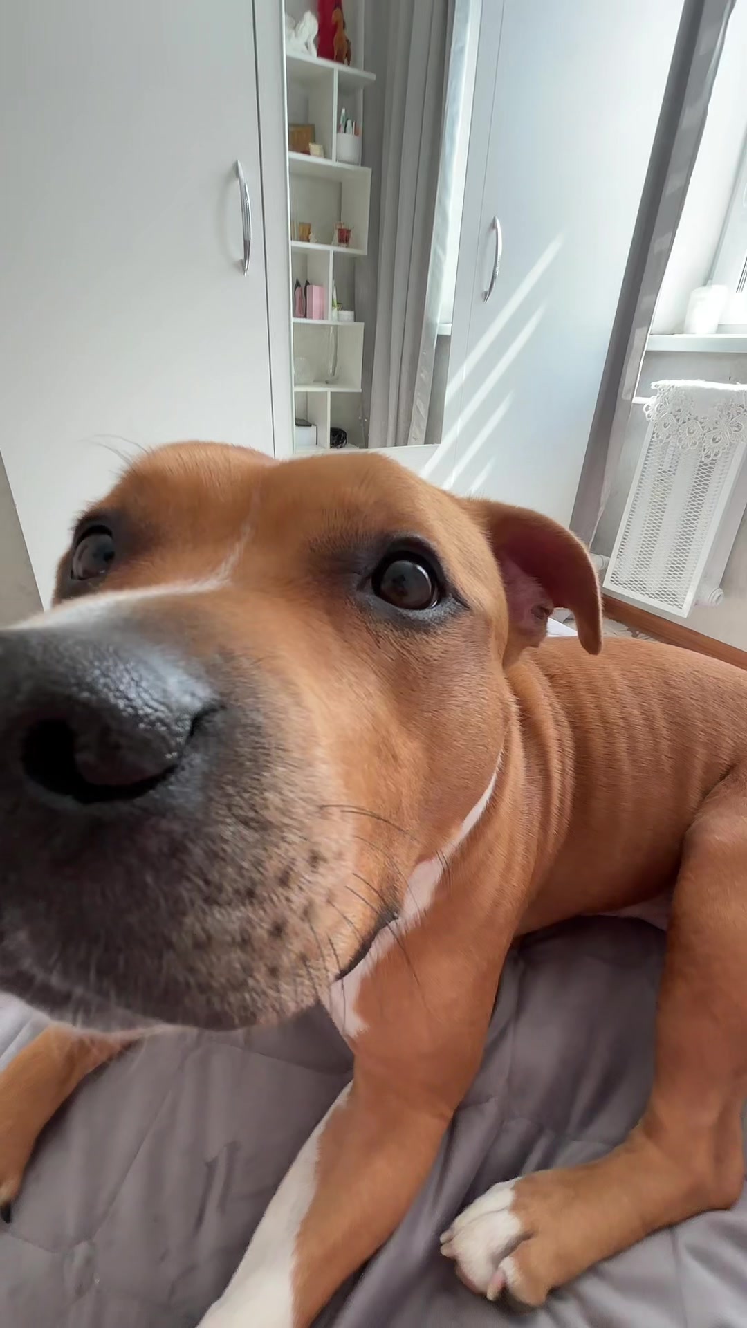 @Eva🐾Mira