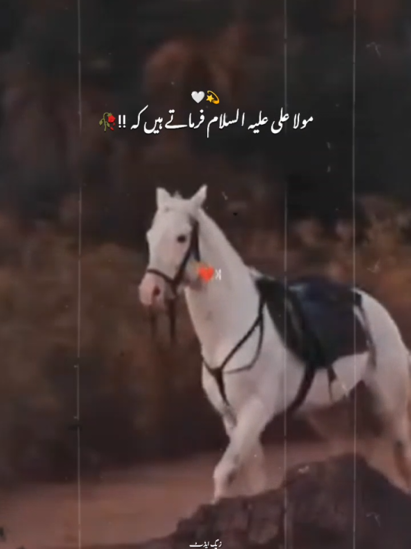 @itx___zainab___real