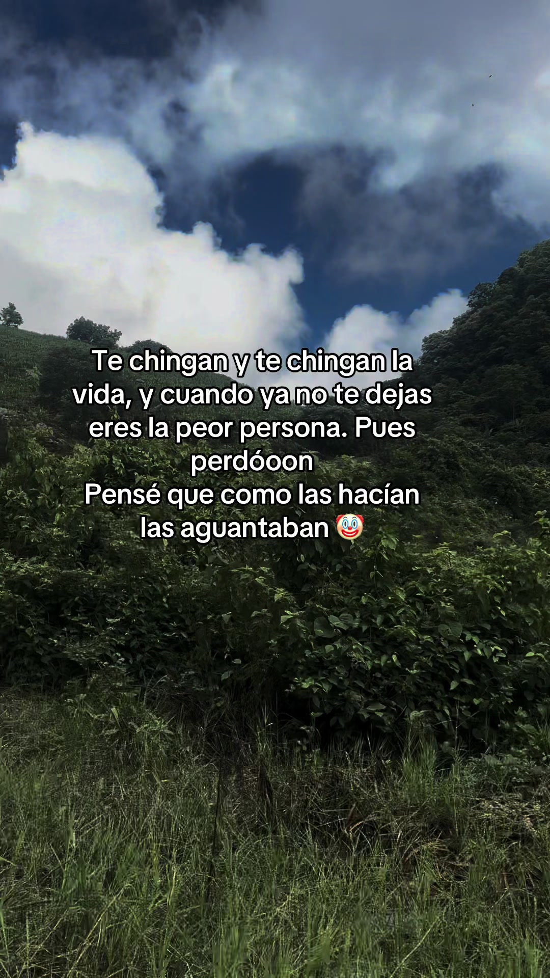 @Ary lopez