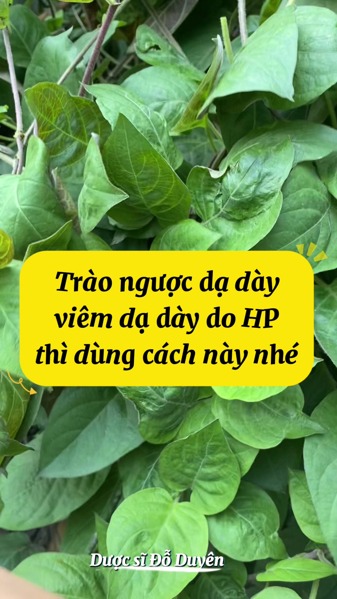 @C&ocirc; Dược Sĩ Duy&ecirc;n💊