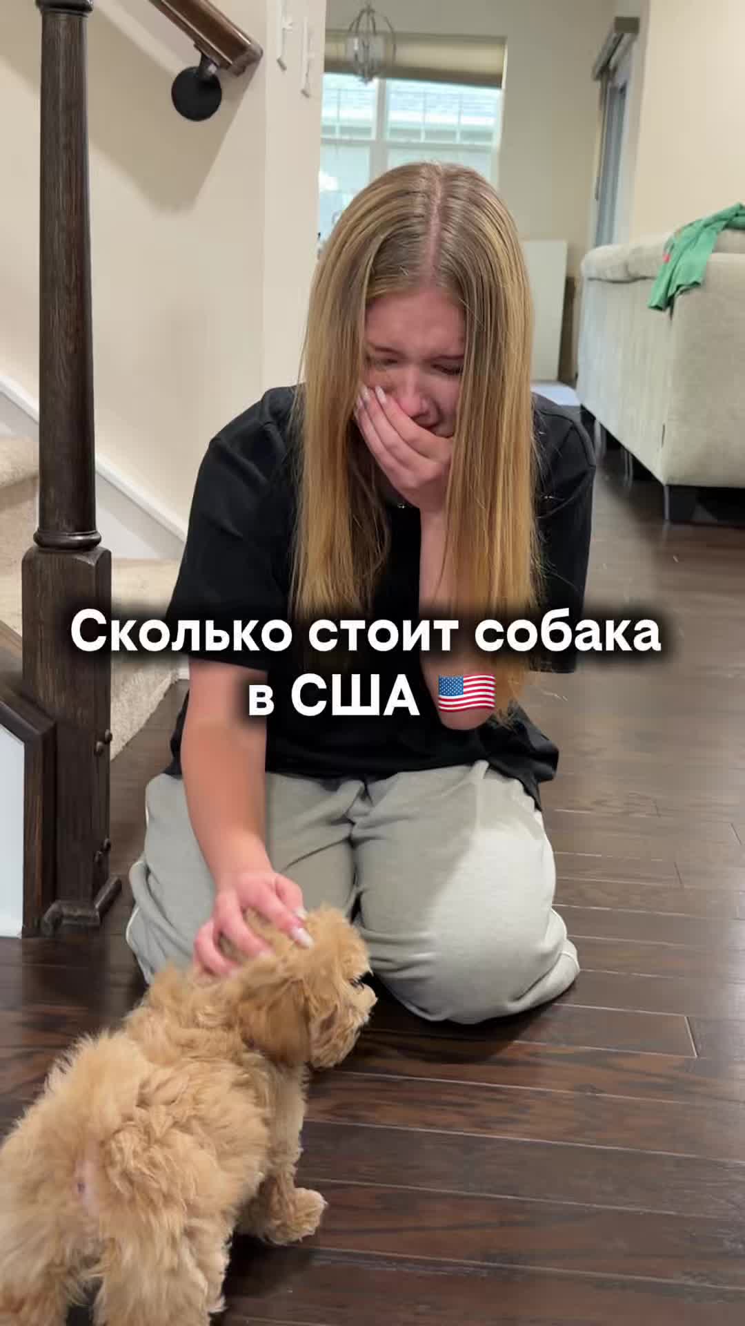 @Елена Зуева