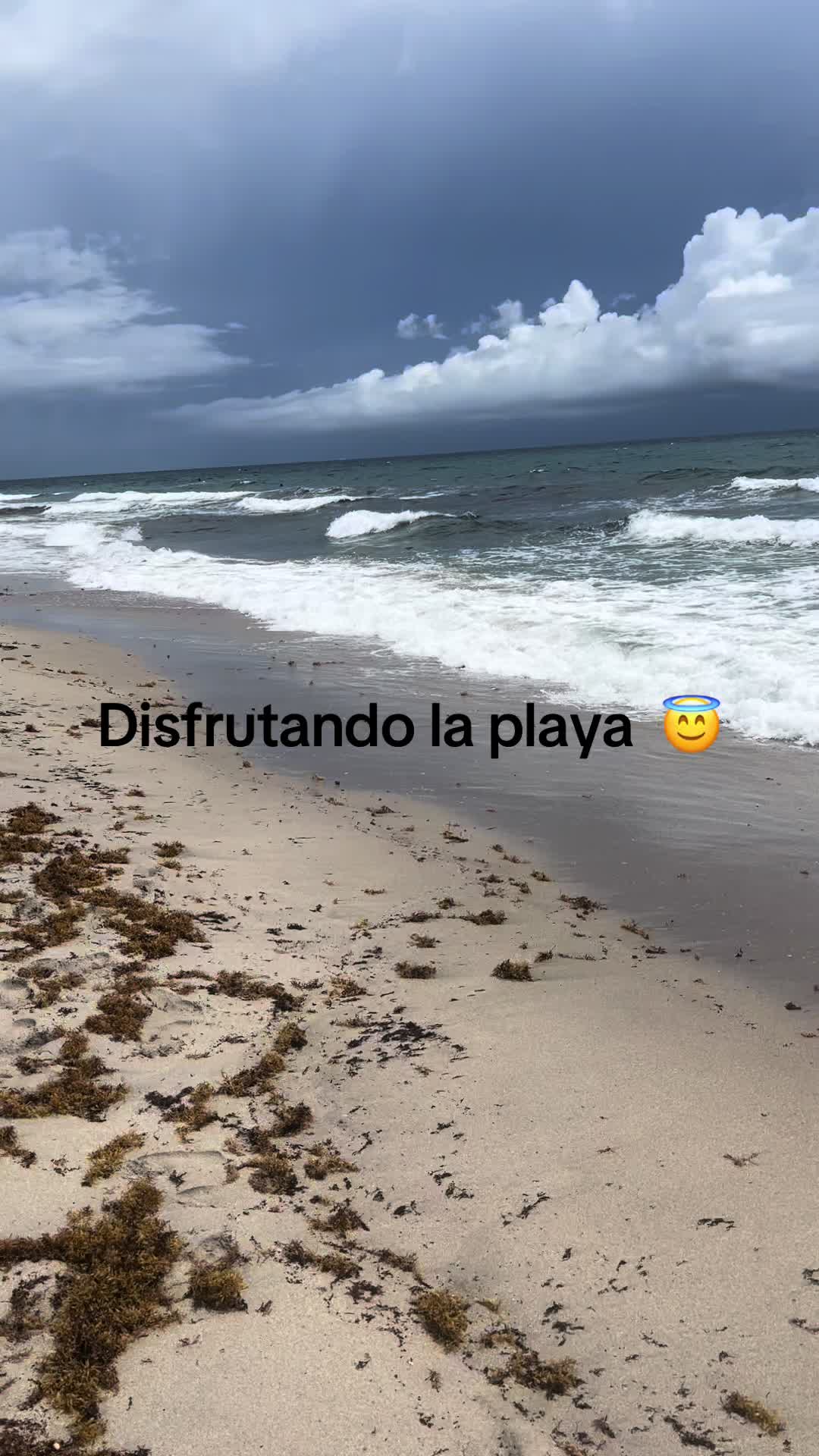 @Eralia Castro