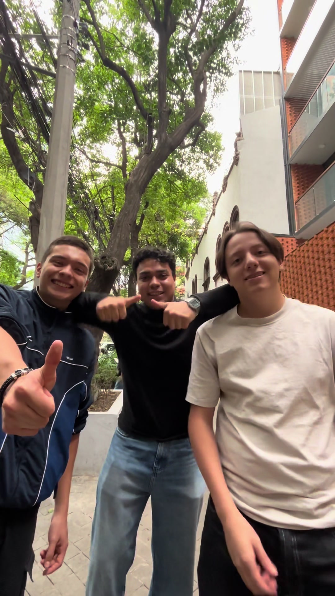 @El consejo