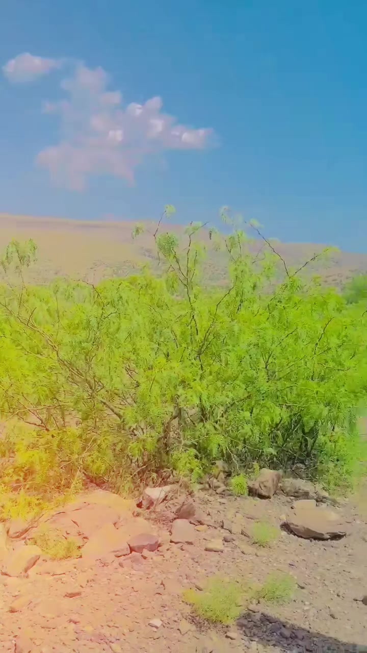 @عـــلــي بـــلـــوشـــي😘🖤