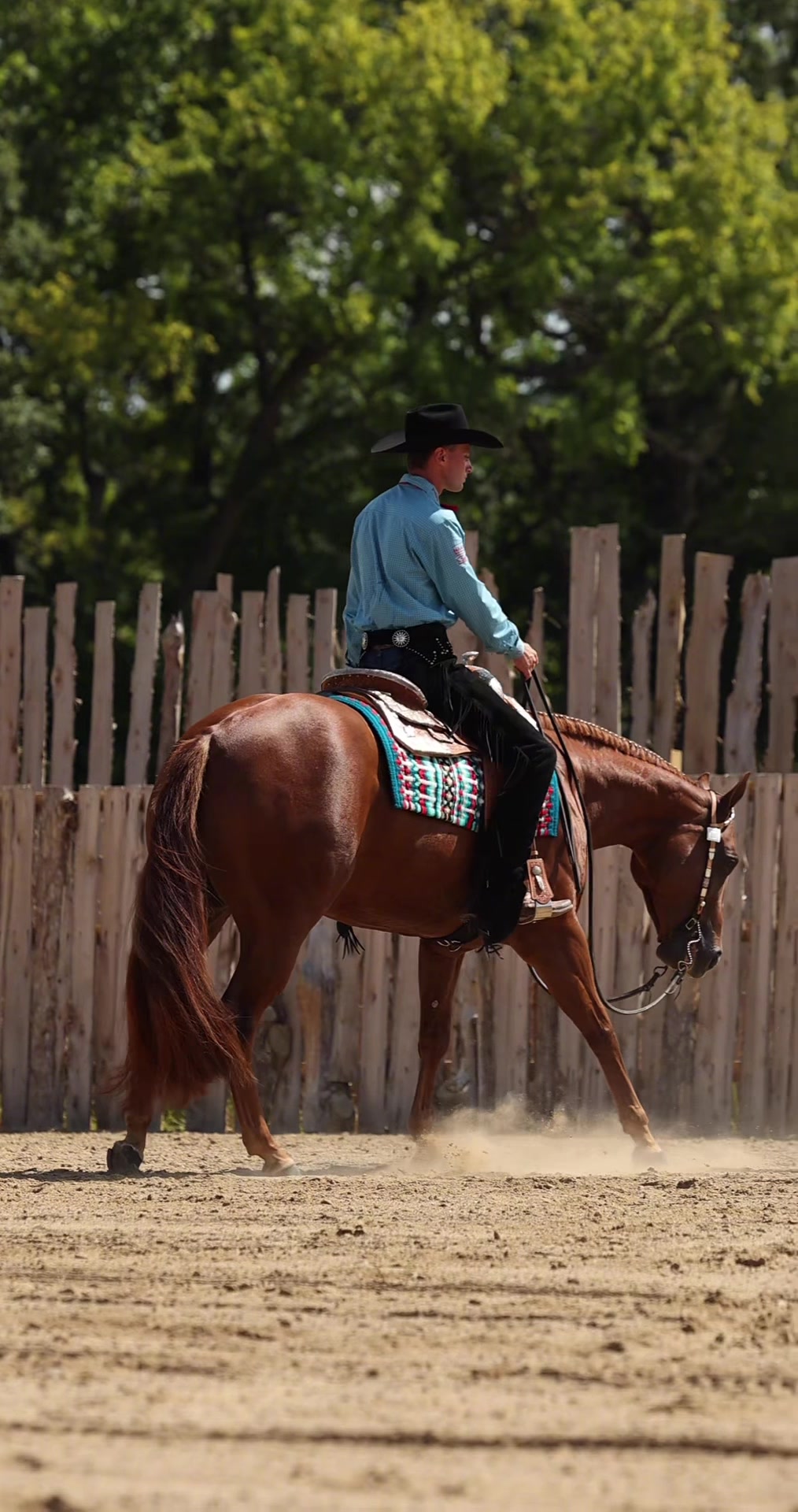 @Miranda | Equine Photographer