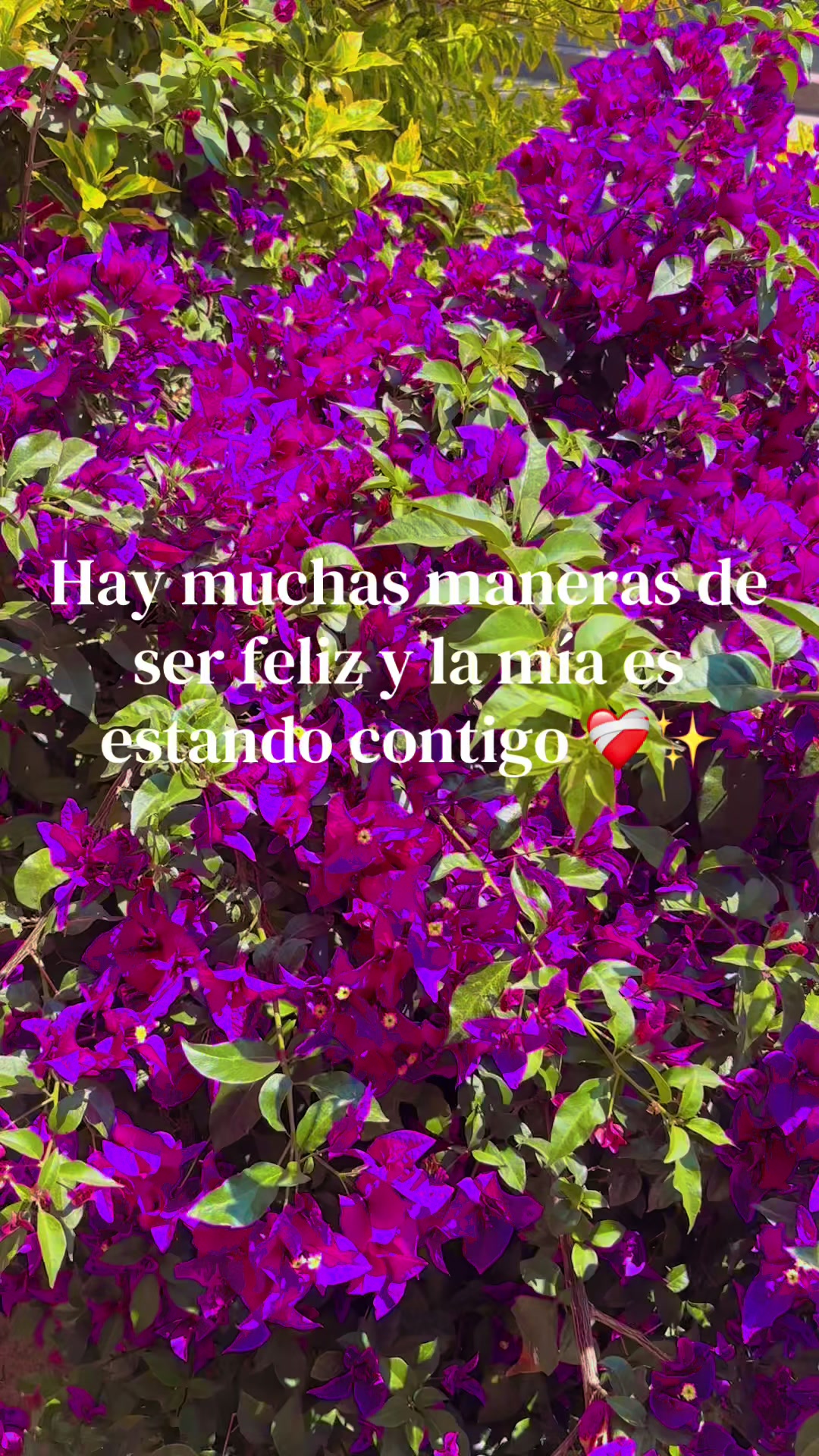 @Guadalupe❤️🫰👑