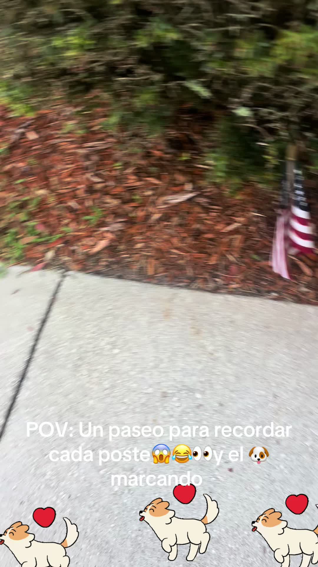 @los3huevertos