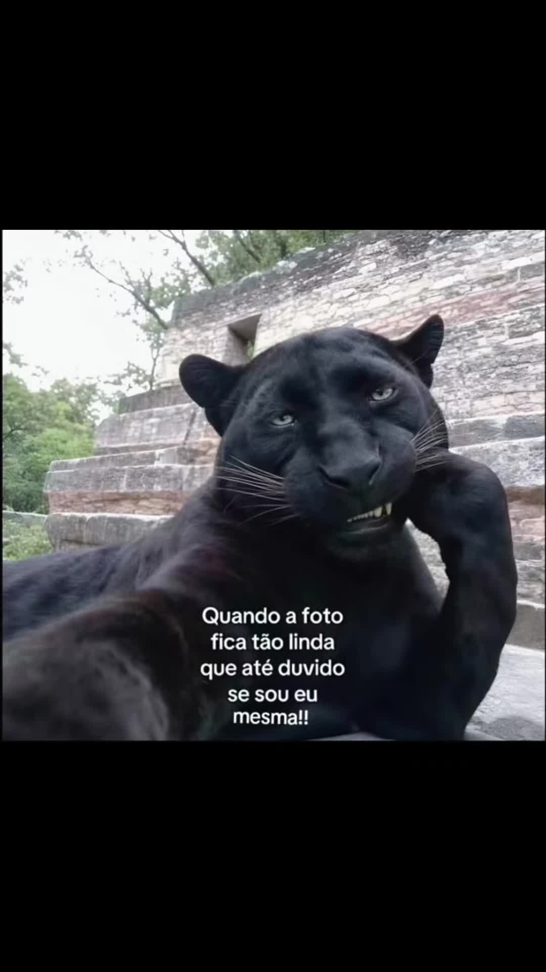 @@isisporto