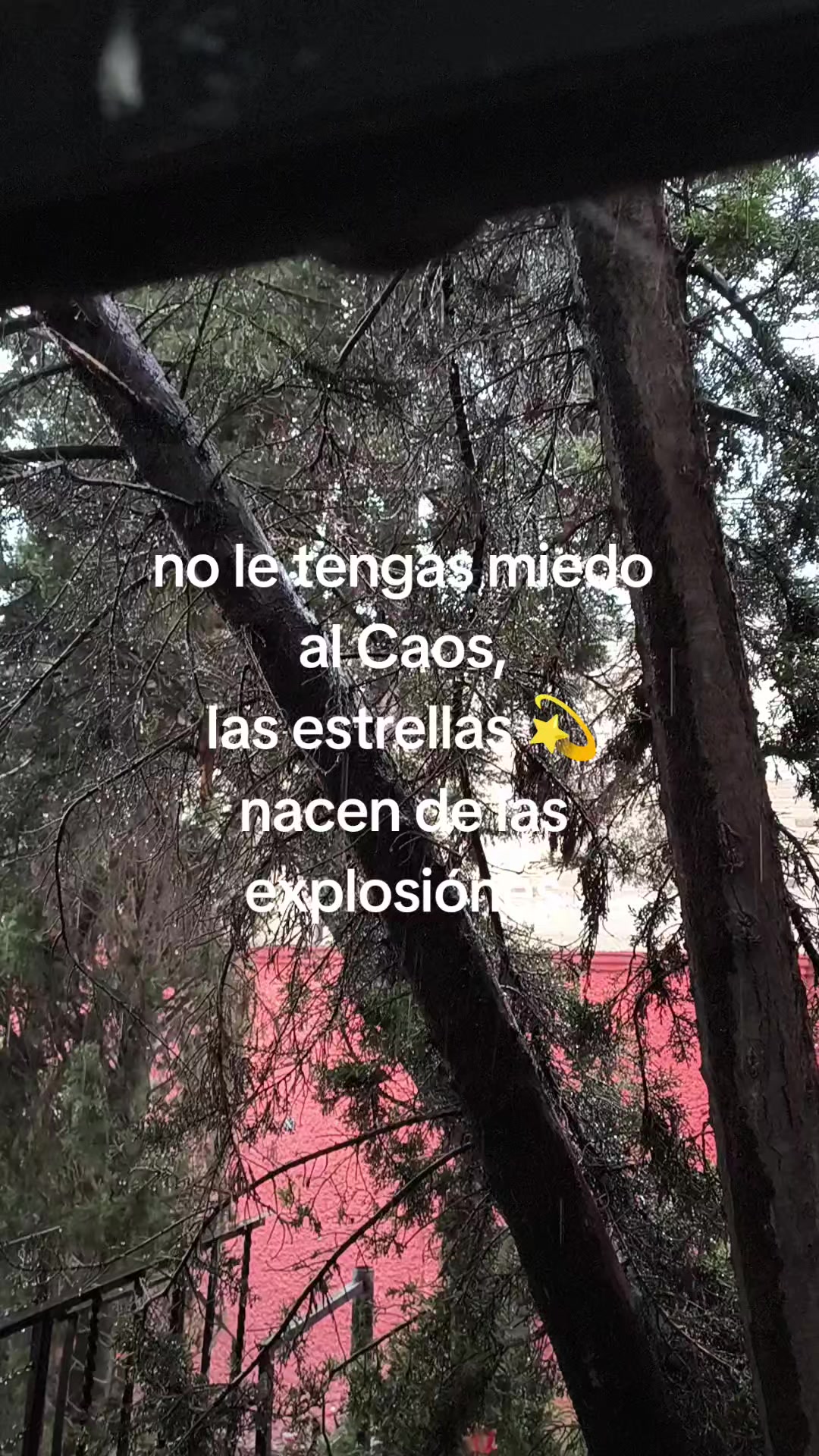 @sirenalyn