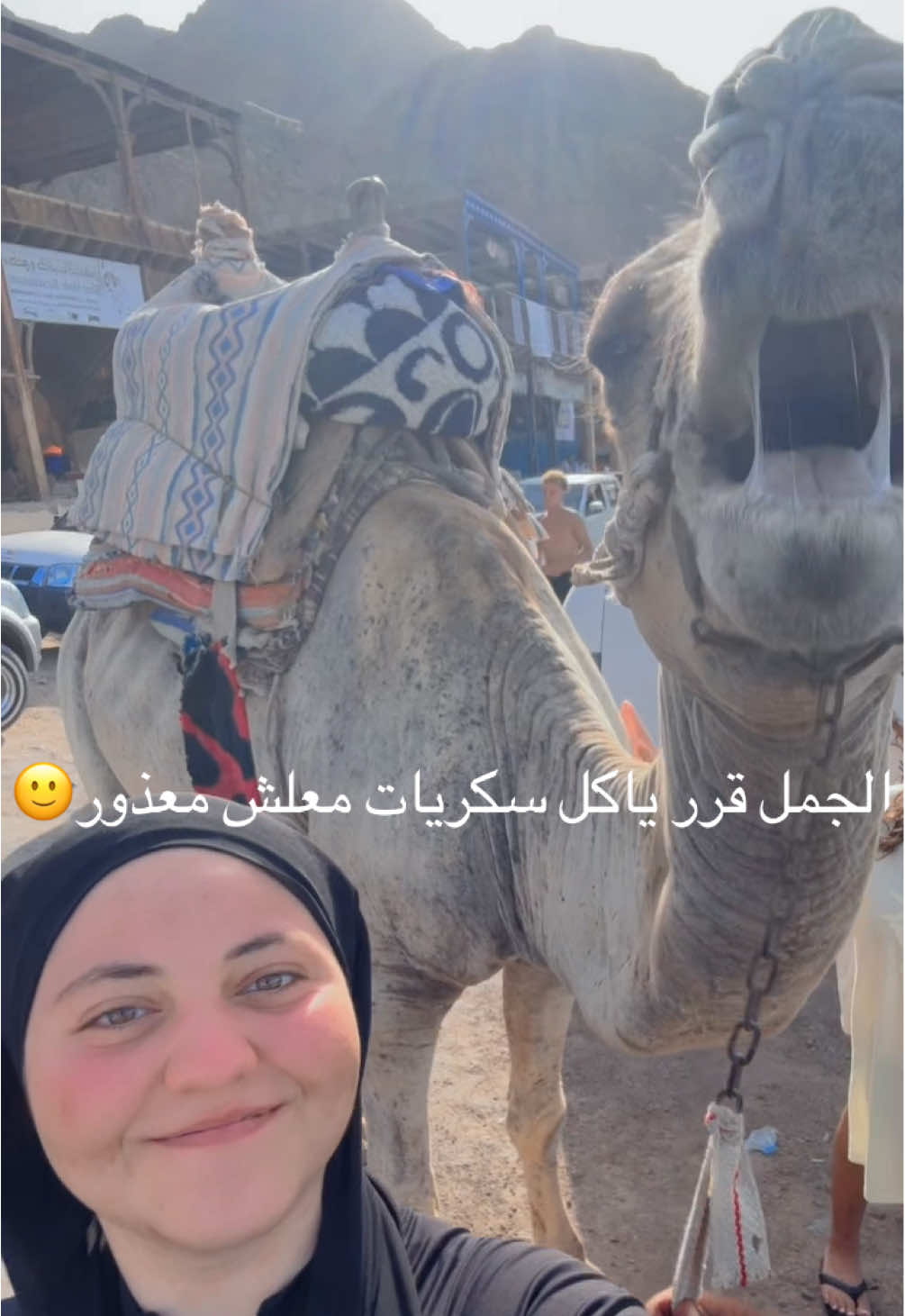 @Engy Alaa