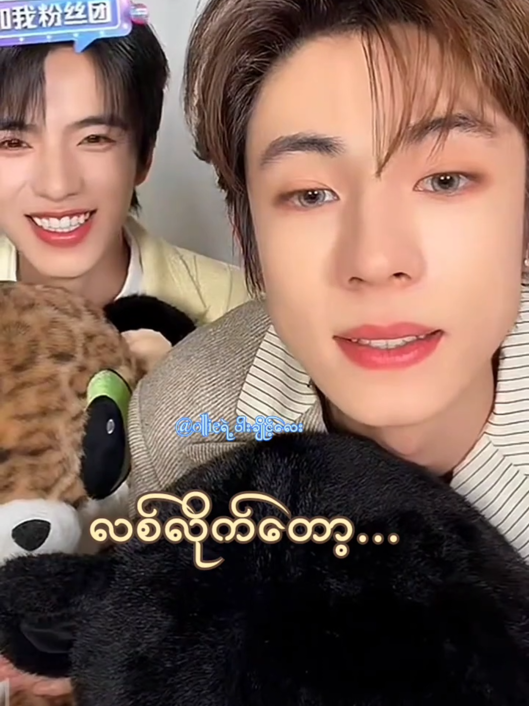 @Ollieရဲ့ပါးချိုင့်လေး🐶🐷