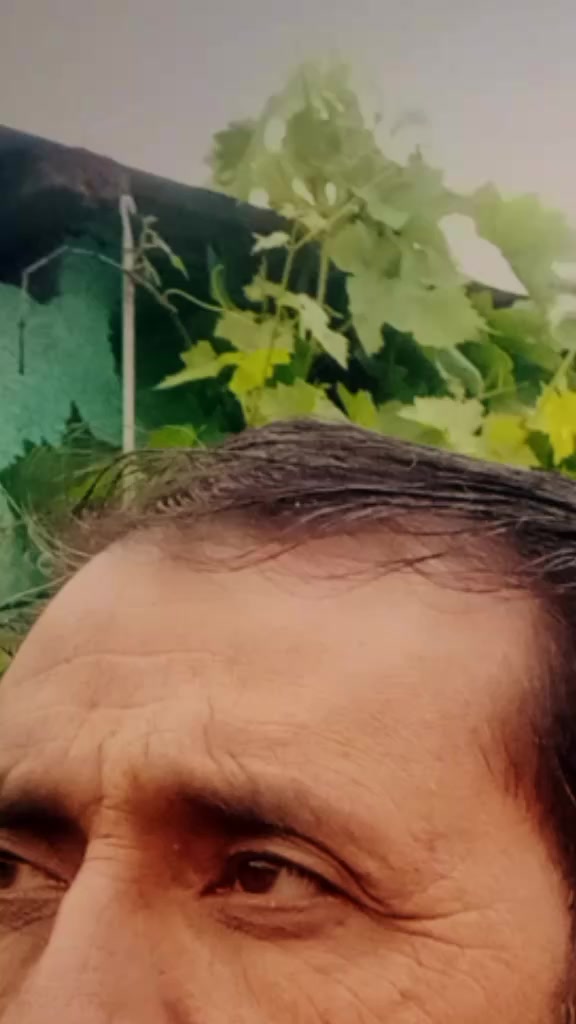 @MUmtaz khan