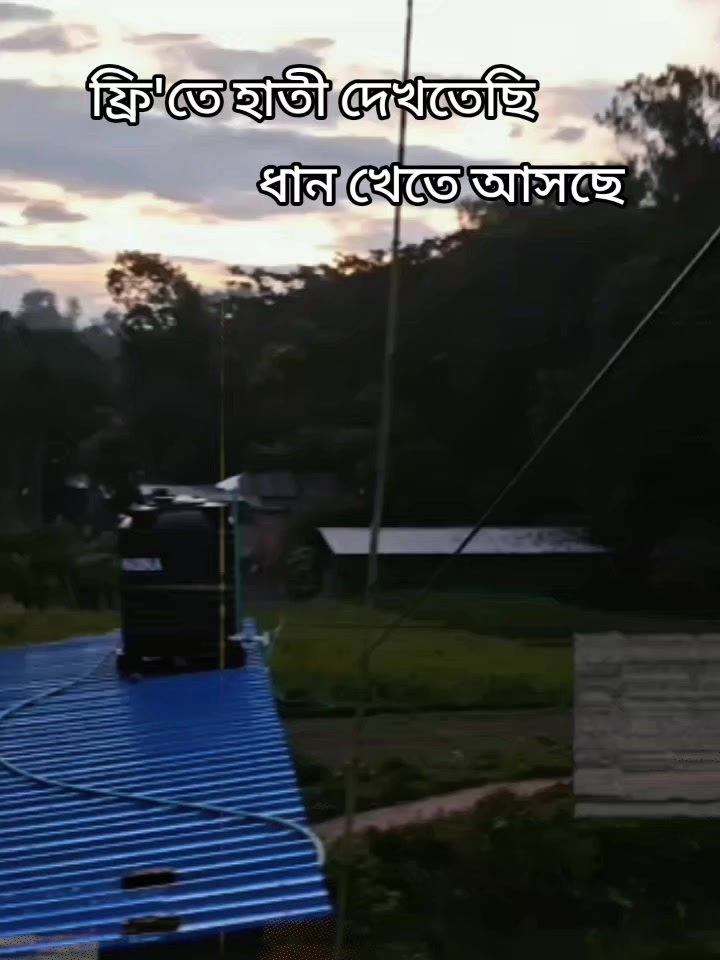 @Monir ar wife