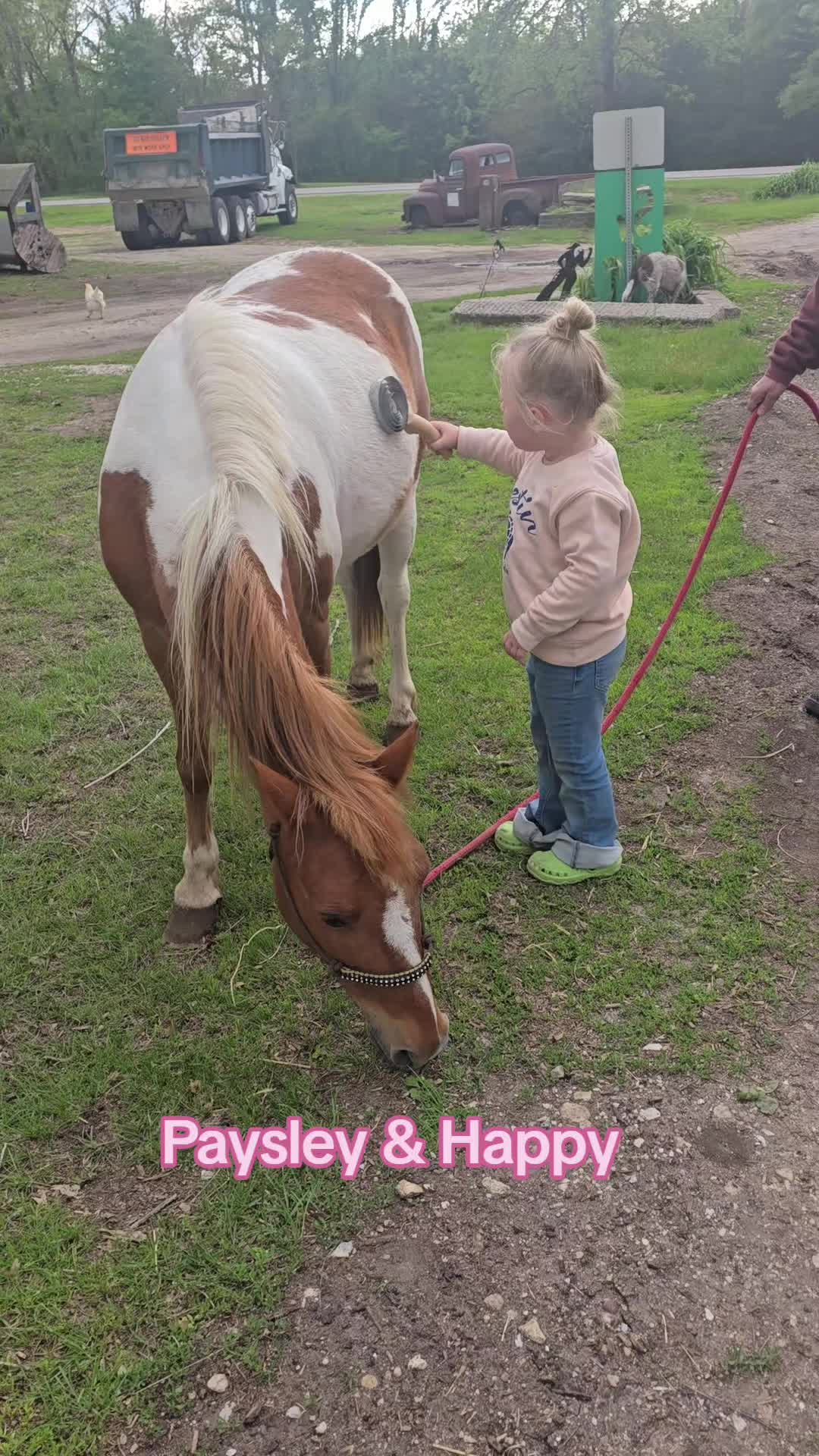 @Small Town Farm LLC