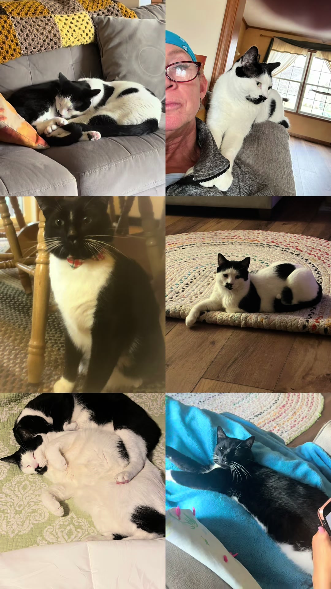 @Bratcats