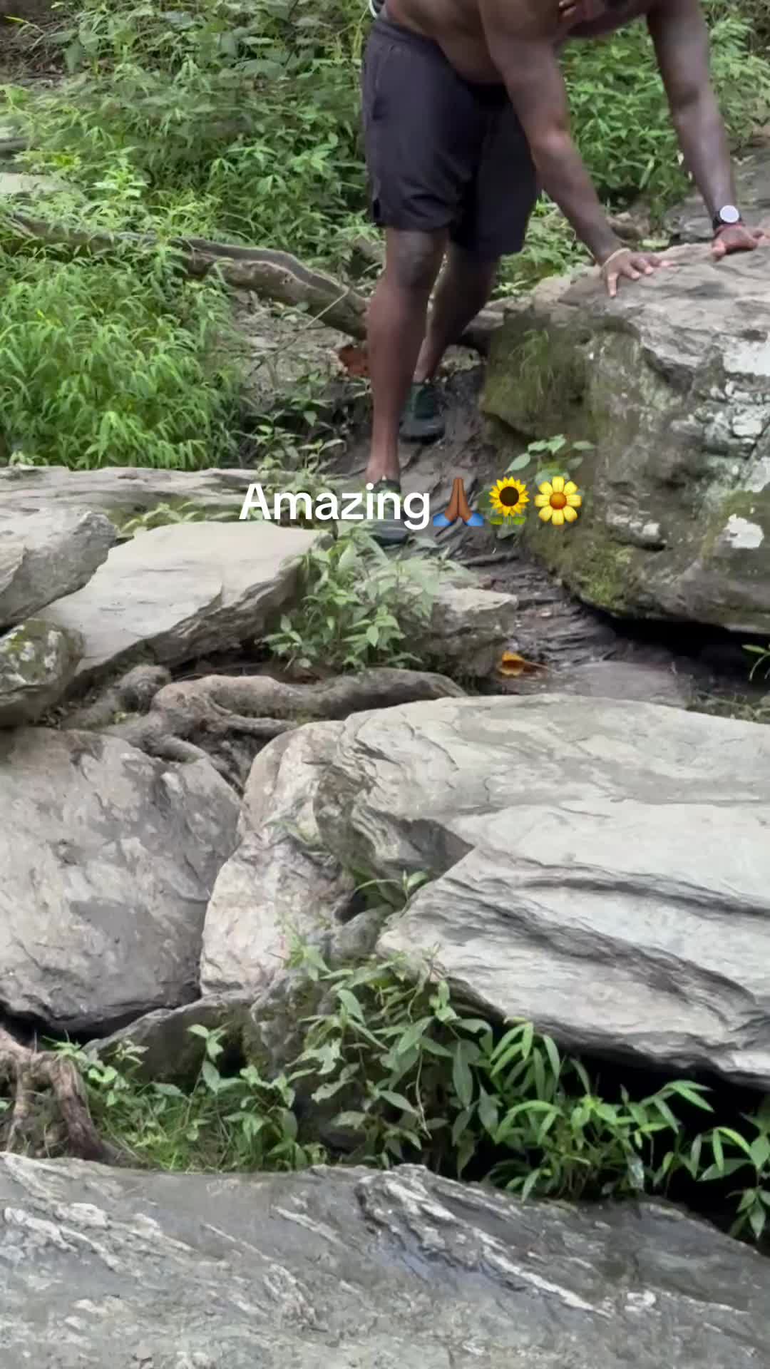 @prettypaulette66