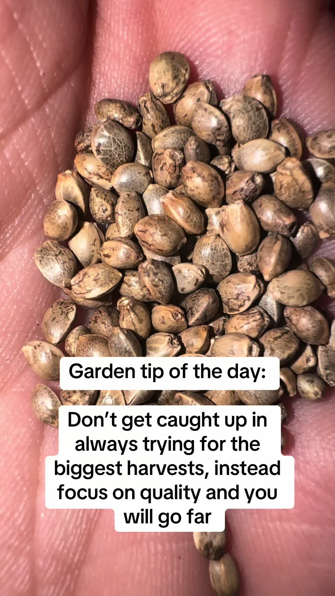 @SEEDTIVA
