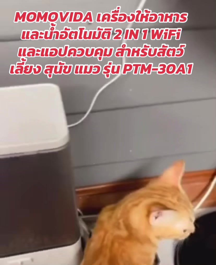 @luxsiriwan21