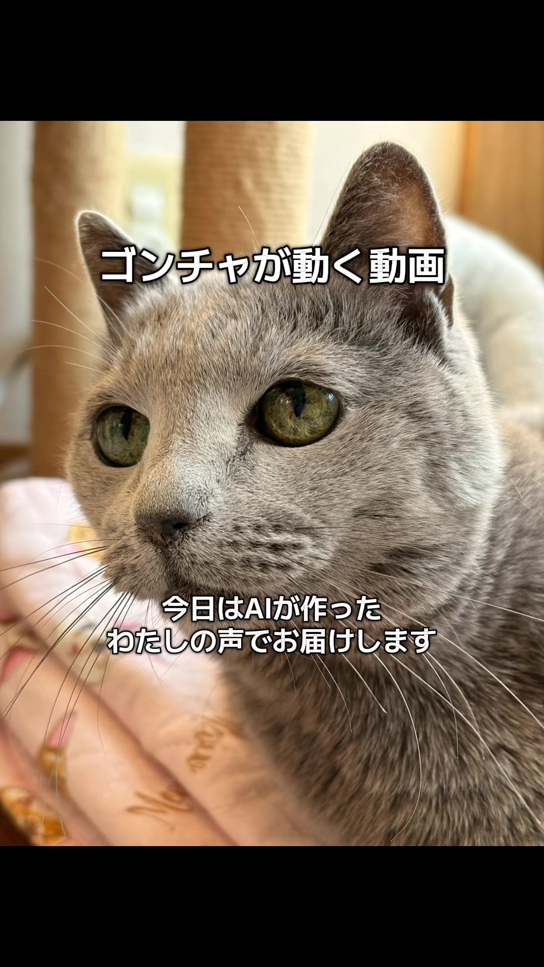 @👑ミキティ👑🙀🍜🙀🌿