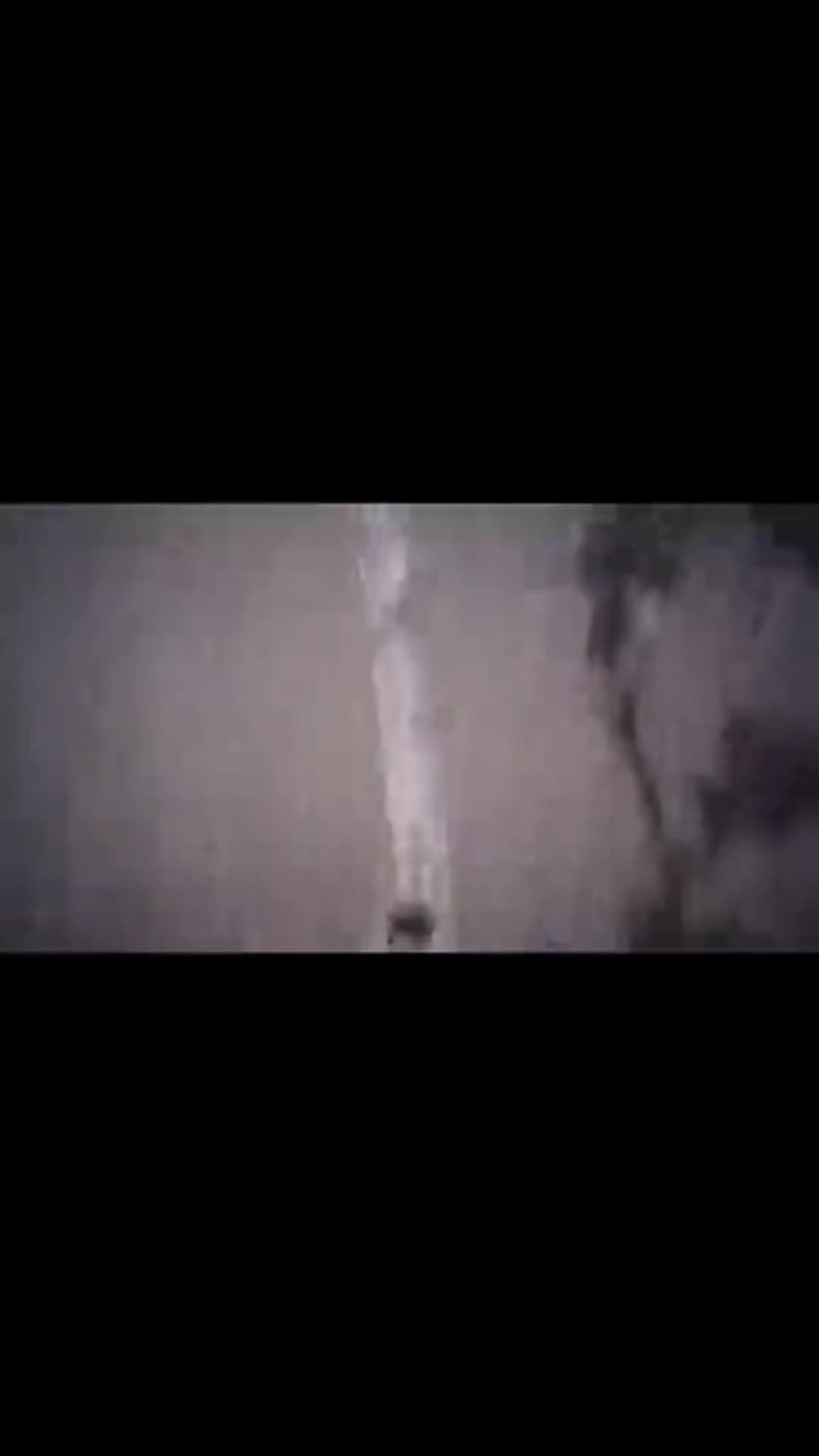 @☈𝑻𝒊𝒗𝒊𝒌𝑾𝑿