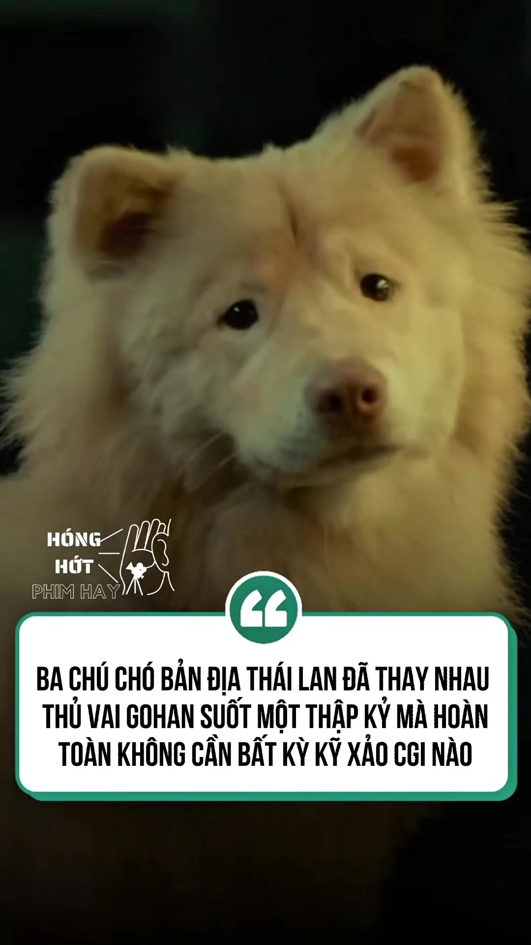 @H&oacute;ng Hớt Phim Hay