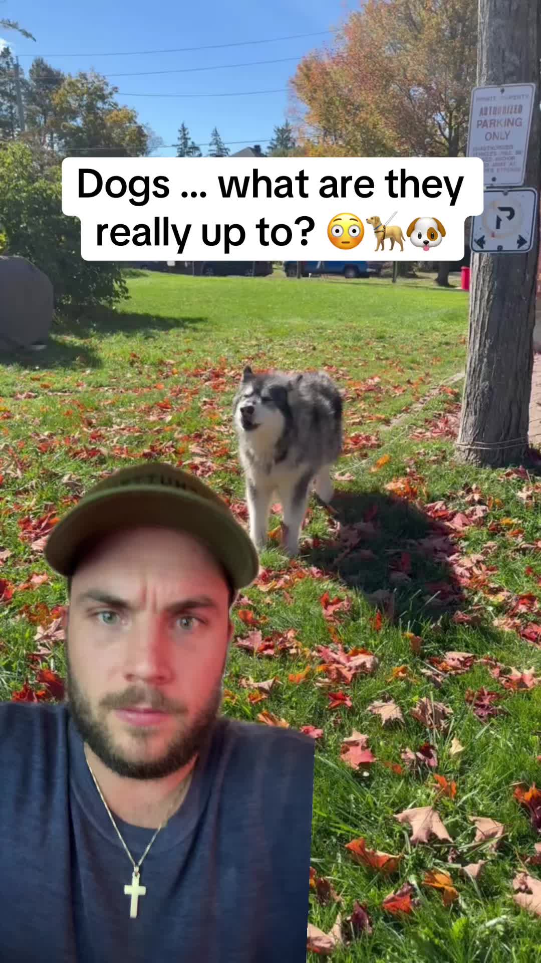 @Shayne Vibes Truth