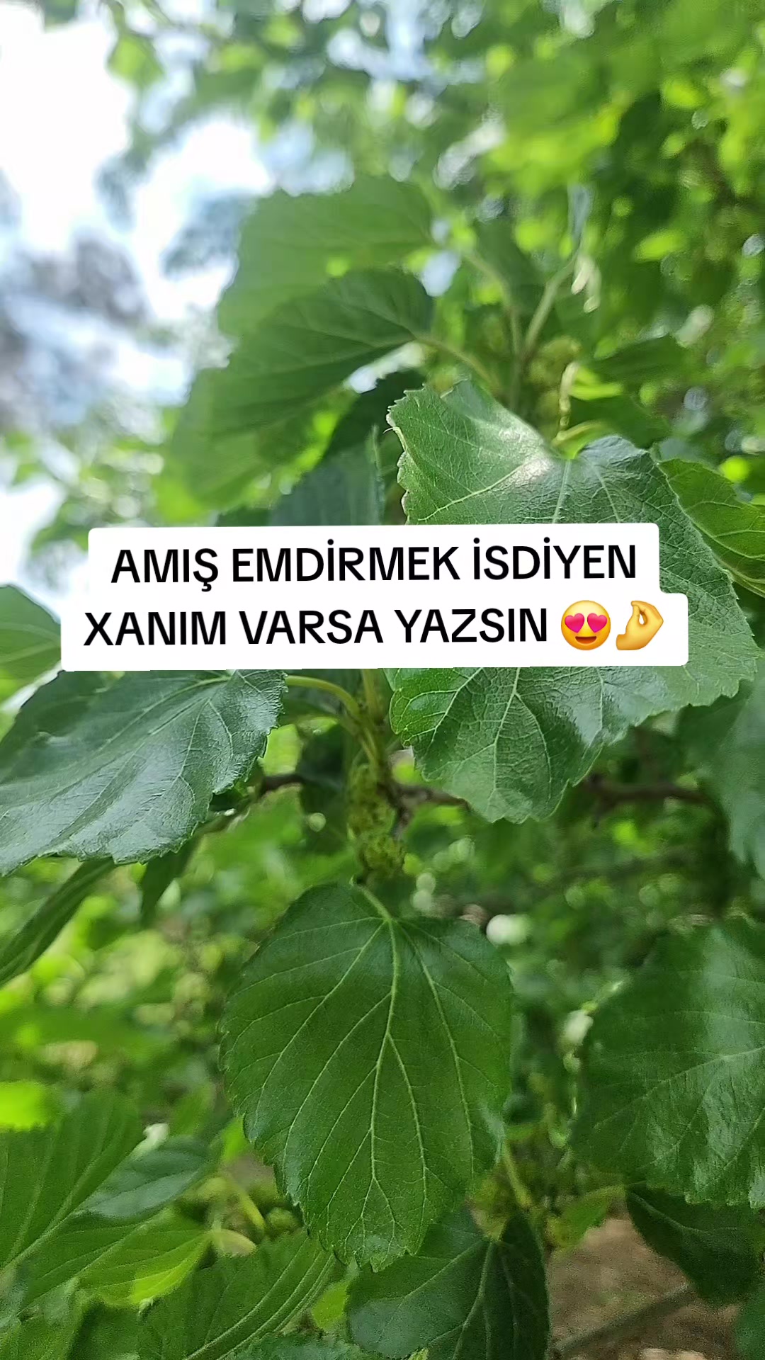 @AM EMREM😍