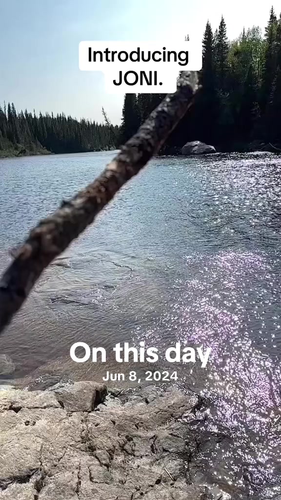 @discostar40🇨🇦