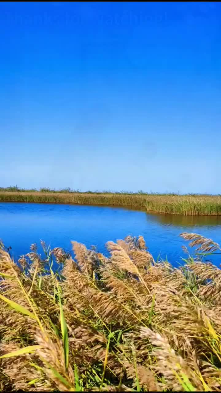 @marvinchen2b71