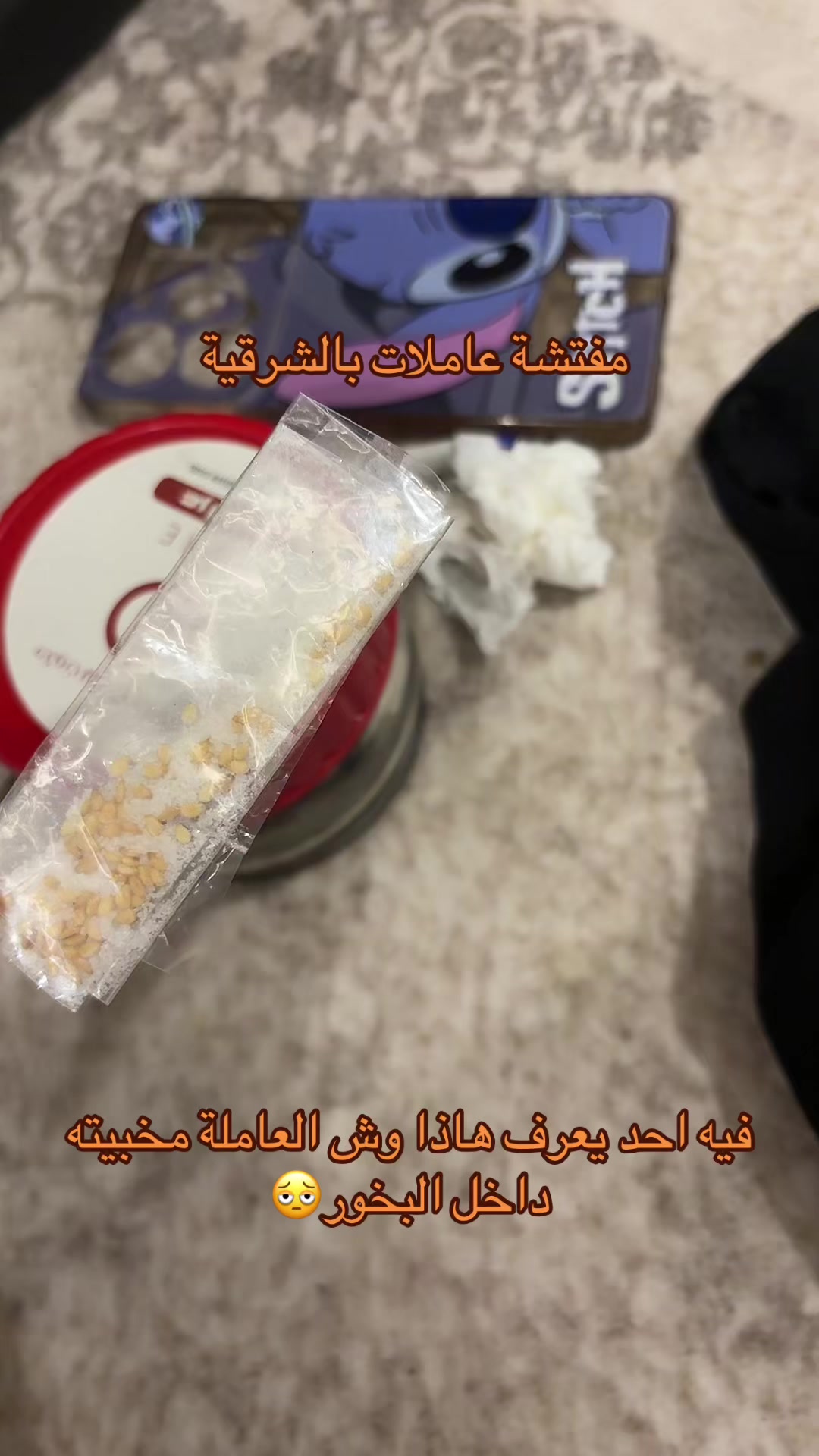 @مفتشة عاملات بالشرقية